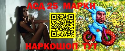 индика Сланцы
