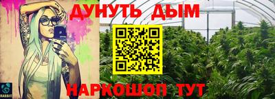 индика Сланцы
