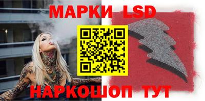 apvp Славгород