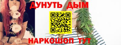 индика Сланцы