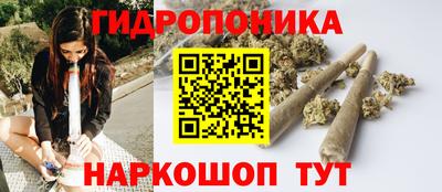 индика Сланцы