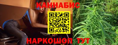 индика Сланцы