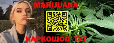 индика Сланцы