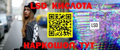индика Сланцы