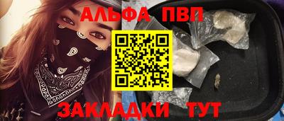 индика Сланцы