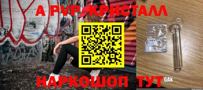 индика Сланцы