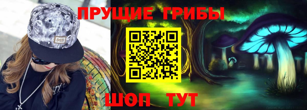 Галлюциногенные грибы Psilocybe Тобольск